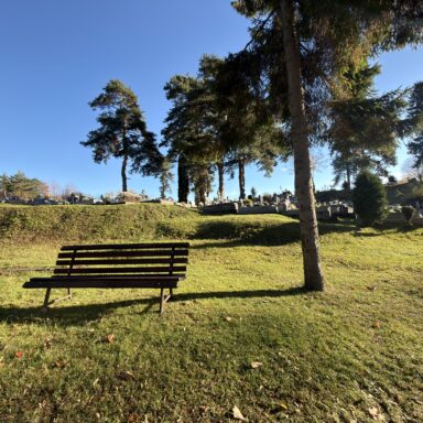 Brezovica- Cintorín 006