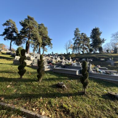 Brezovica- Cintorín 003