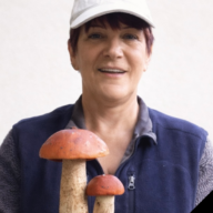 pohrebnictvo, pohrebnictvo kandrac, pohrebnictvo lipany, pohrebna sluzba, pohrebna sluzba kandrac, pohrebna sluzba lipany, pohrebne sluzby, funerio