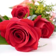 pohrebnictvo, pohrebnictvo schottert, pohrebnictvo hlohovec, pohrebna sluzba, pohrebna sluzba schottert, pohrebna sluzba hlohovec, pohrebne sluzby, funerio